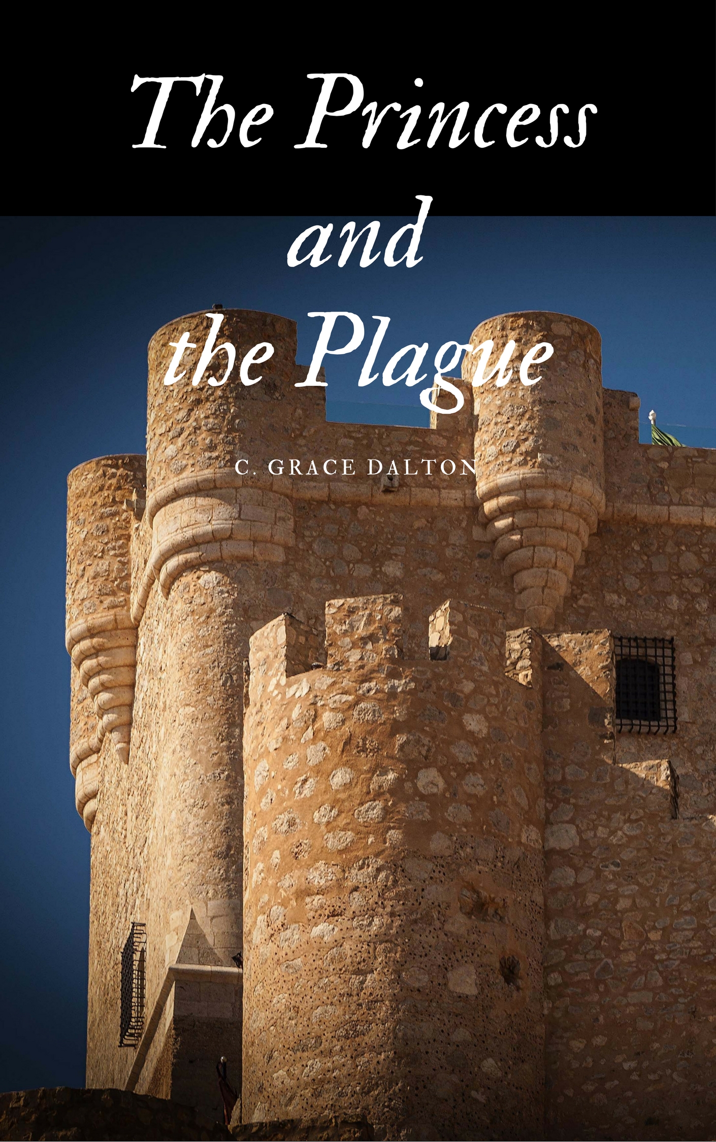 The Princessandthe Plague